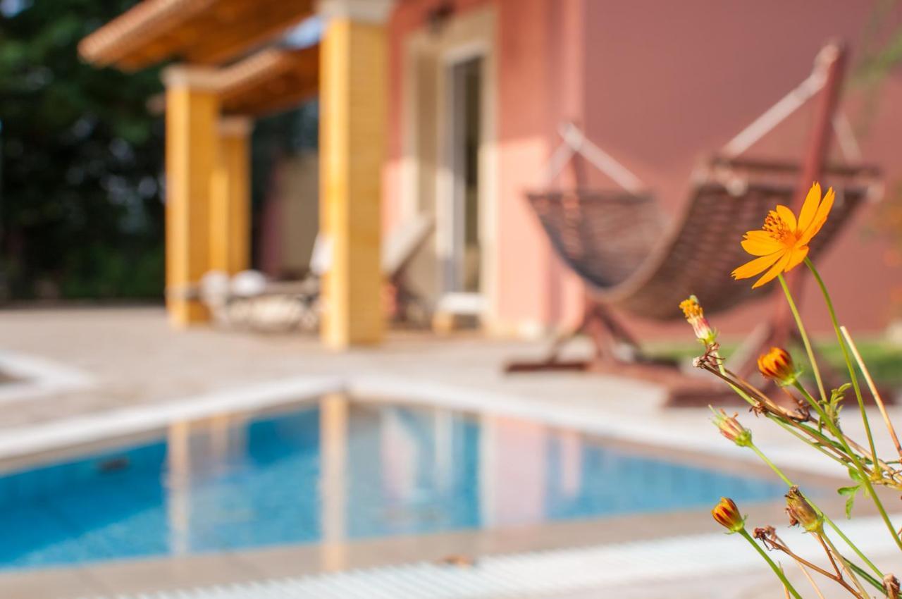 ذيسْخا Villa Nefeli المظهر الخارجي الصورة